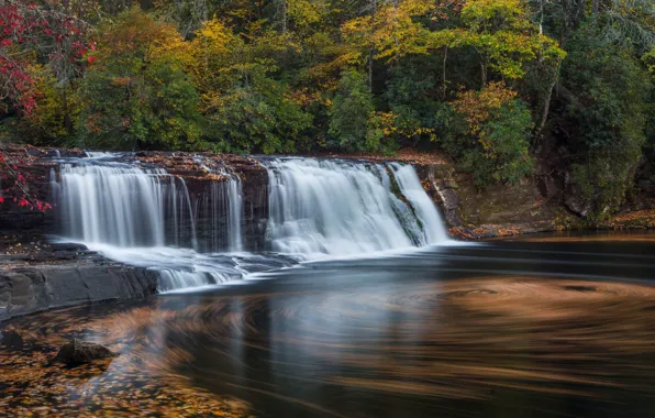 Forest, rocks, shore, waterfall, stream