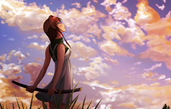 The sky, grass, girl, clouds, landscape, sword, katana, art