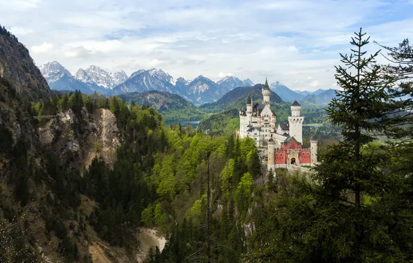 Forest, mountains, nature, castle, Neuschwanstein, Germany, Bavaria