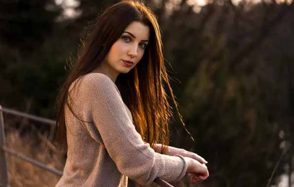 Picture look, the sun, trees, model, portrait, makeup, hairstyle, railings