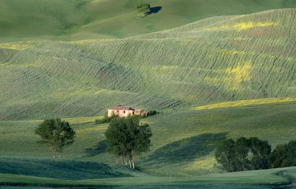 Field, house, hills, Italy, Tuscany