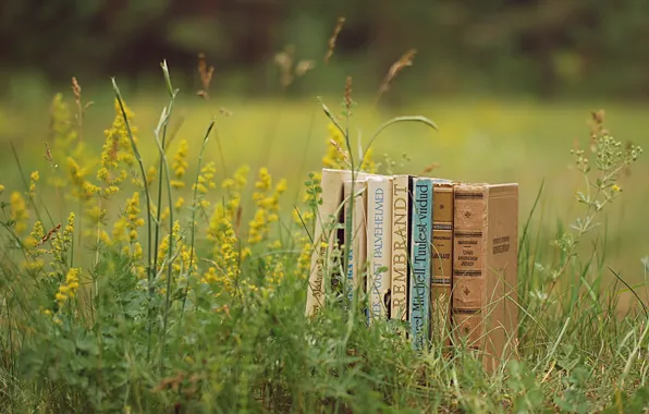 Picture greens, summer, grass, nature, mood, glade, books, plants