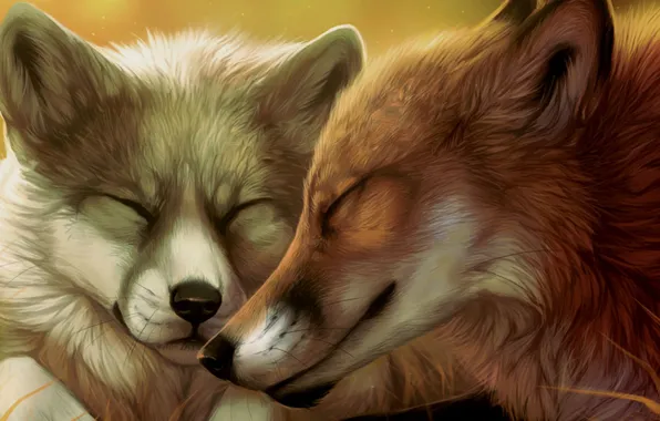 Pair, Fox, faces