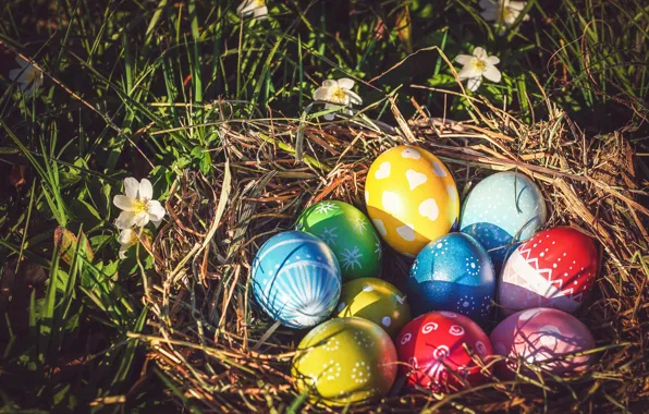 Grass, light, flowers, holiday, pattern, glade, eggs, spring