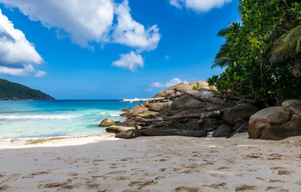 Sand, sea, beach, the sky, clouds, tropics, stones, palm trees