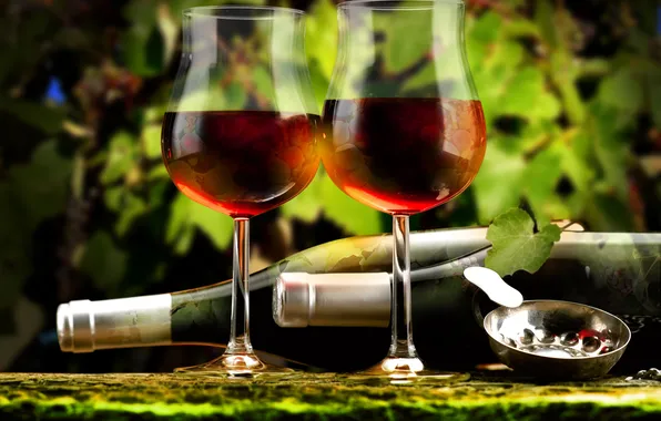 Leaves, wine, red, glasses, bottle
