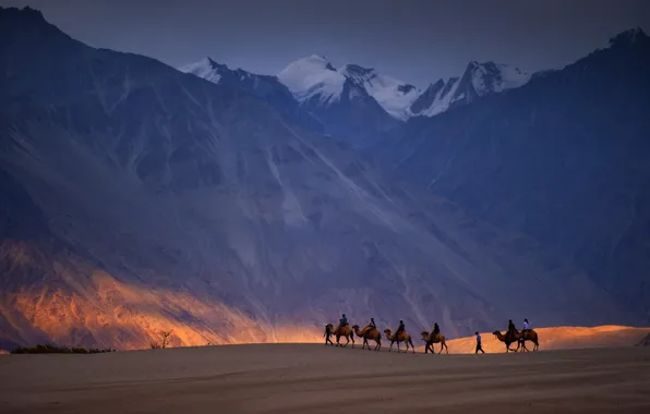 Picture landscape, mountains, caravan