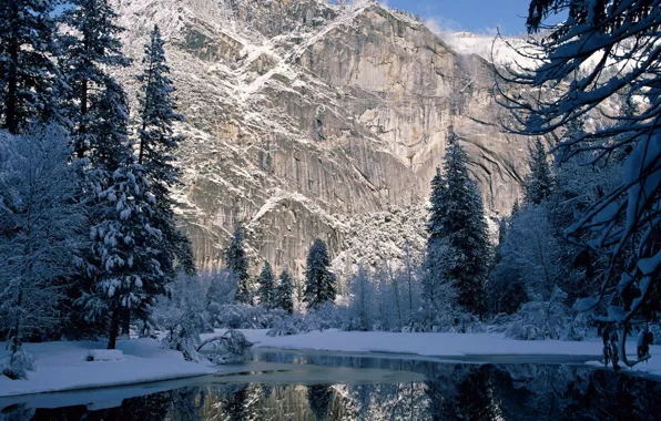 Picture winter, snow, trees, mountains, rock, river, spruce