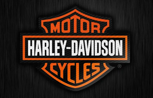 Wallpaper emblem, Harley Davidson, Harley, harley, Harley Davidson