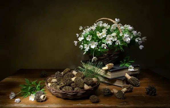 Flowers, mushrooms, still life, morels