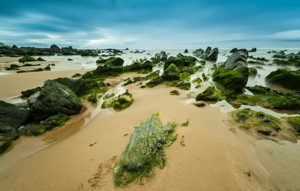 Picture sea, the sky, clouds, stones