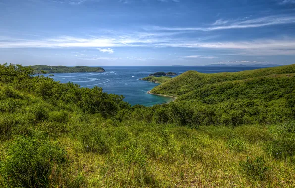 Sea, greens, the sky, grass, coast, horizon, Bay, Russia