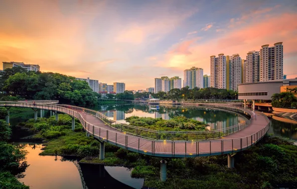 Bridge, the city, lake, Singapore, Singapore, Singapore city