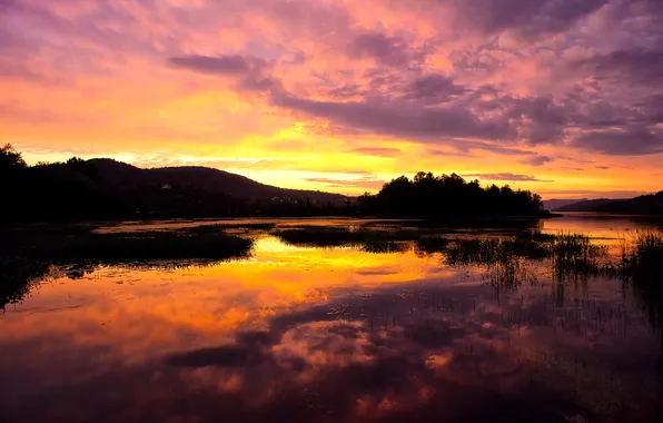 Trees, sunset, lake, hills, the evening