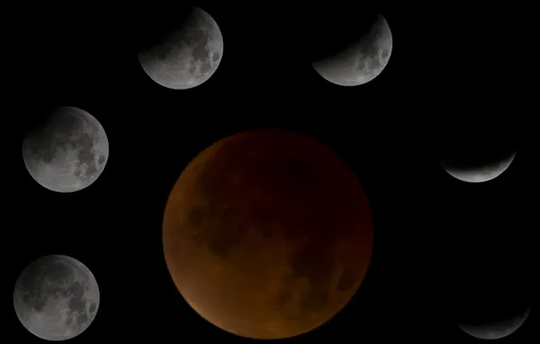The moon, satellite, Eclipse, Moon, bloody