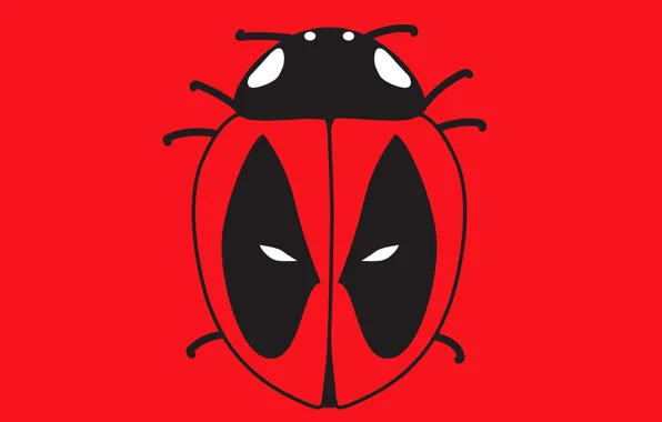 Picture nature, ladybug, contour, insect