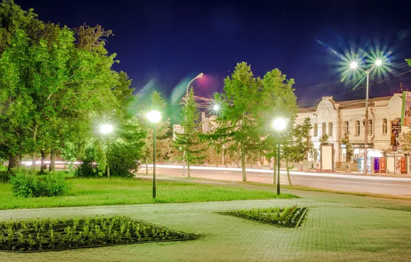 Trees, night, lights, street, lights, signs, bright, lawn