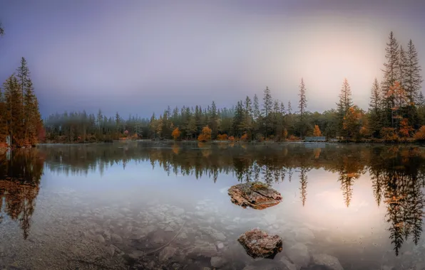 Picture autumn, forest, lake