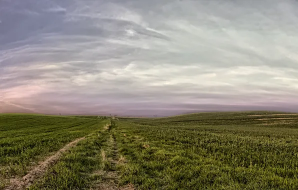 Picture field, the sky, Nature, sky, field, nature, April, april