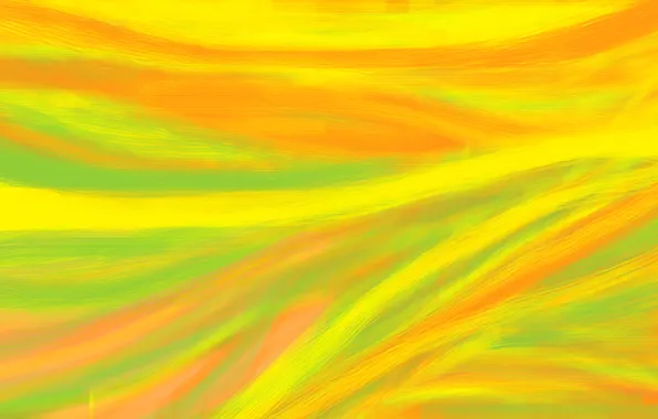 Light, line, paint, color