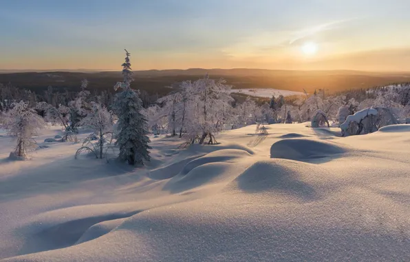 Picture winter, forest, snow, sunset, the evening, Finland, Finland, Akaslompolo