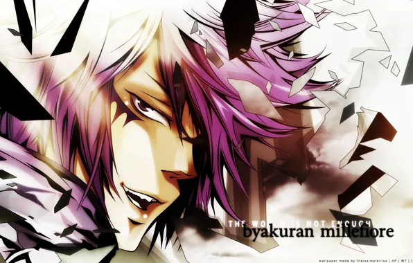 Look, fragments, art, katekyo Hitman reborn, pink hair, reborn, amano akira, byakuran millefiore