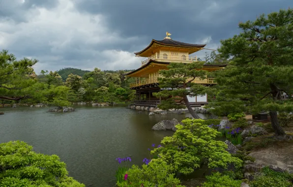 Picture landscape, nature, pond, Park, vegetation, Japan, temple, Kyoto