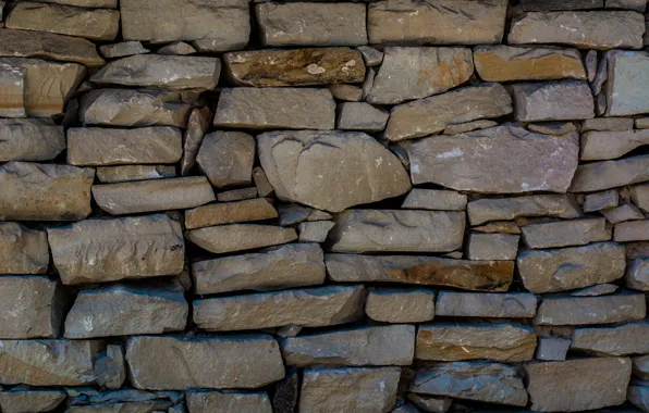 Picture house, stone, texture, Ukraine, Pirogovo, pies