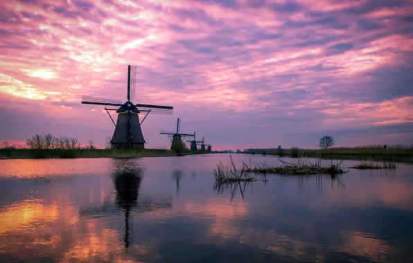 Trees, lake, reflection, dawn, home, spring, mill, Netherlands