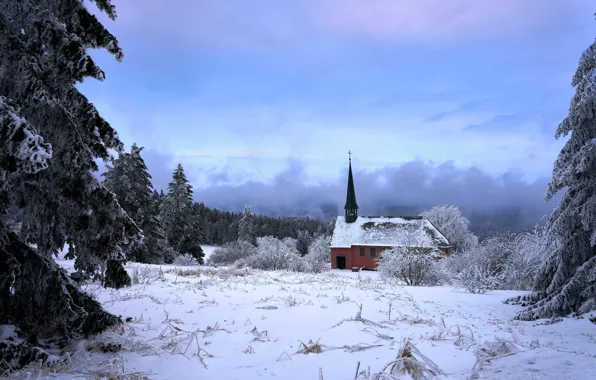 Winter, frost, field, forest, the sky, clouds, snow, landscape