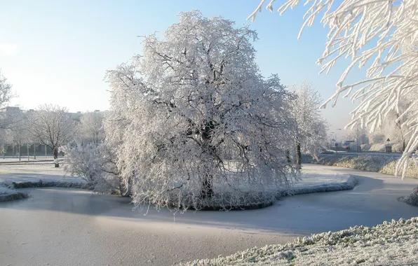 Winter, frost, snow, trees, Park, river, Nature