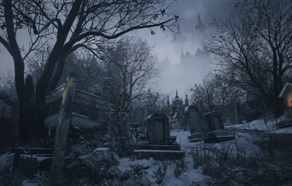 Resident Evil, Capcom, Village, Resident Evil Village