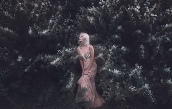 Picture leaves, girl, dress, Aleah Michele, The white bone of my frame