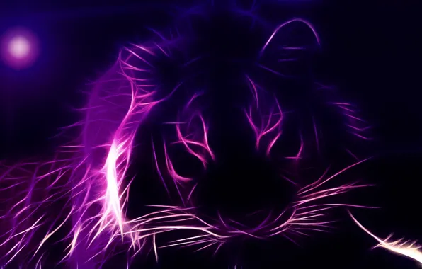 Picture face, tiger, 3D graphics