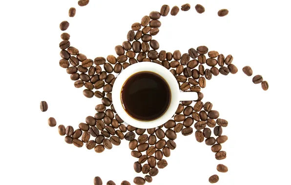 Coffee, grain, Cup, the sun, cup, beans, coffee