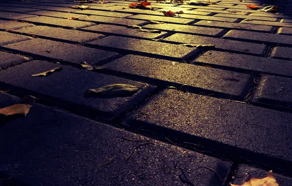 Road, autumn, the city, Park