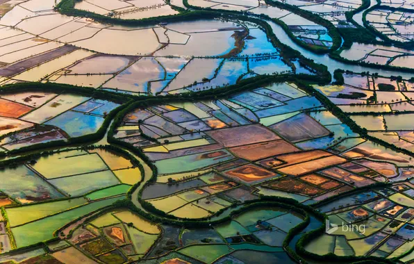 Field, trees, river, Indonesia, channel, put, areas, South Sulawesi