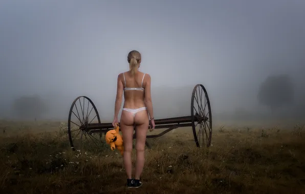 Toy, one, in the field, in lingerie