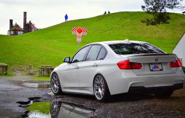 Picture BMW, white, F30, rearside