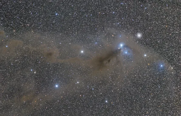 Picture constellation, hemisphere, sky, dim, South Crown, Corona Australis, South