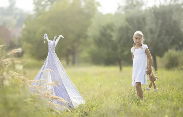 Picture field, summer, toy, girl