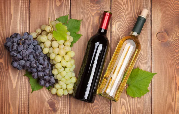 Photo, Bottle, Two, Wine, Grapes, Food, Drinks