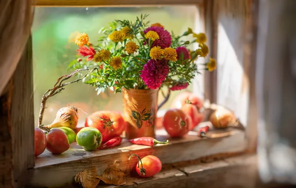Picture flowers, window, still life, tomatoes
