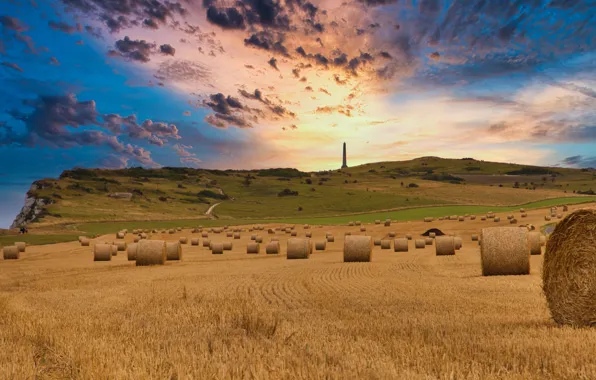 Field, the sky, hay, bales