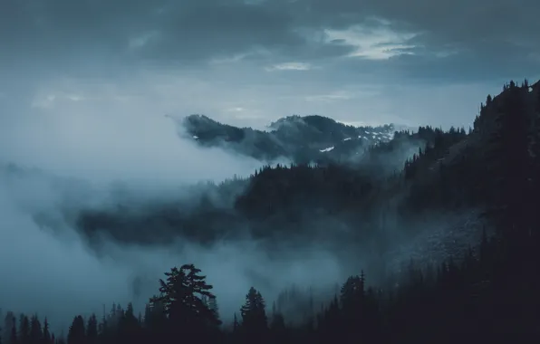 Picture mountains, nature, fog, trees, the sky, forest