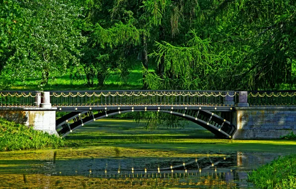 Summer, trees, bridge, river, HDR, colorful, Saint Petersburg, Russia