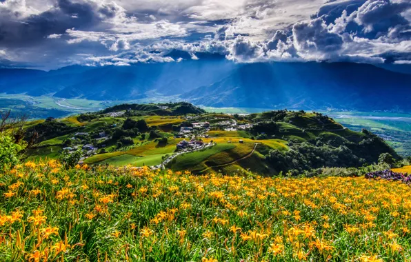 Clouds, flowers, mountains, China, village, panorama, China, Taiwan