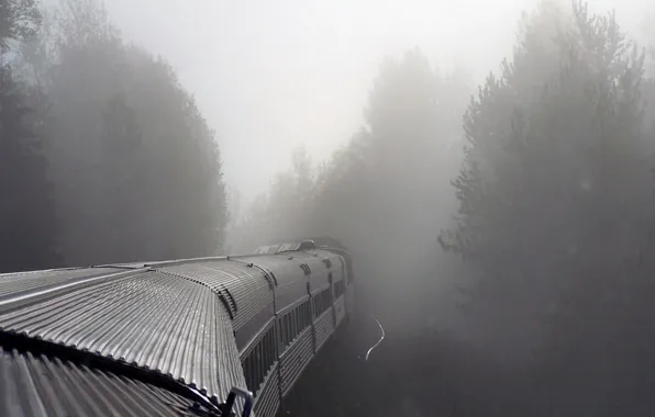Train, Fog, cars