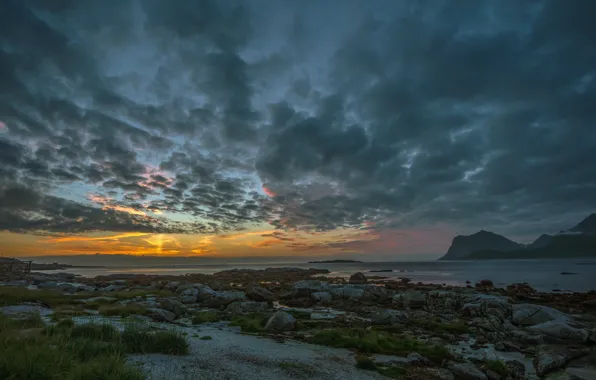 Picture grass, stones, the evening, space, sunset, coast