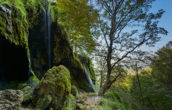 Trees, nature, stones, waterfall, moss, Alexander Sandev, landscape rock